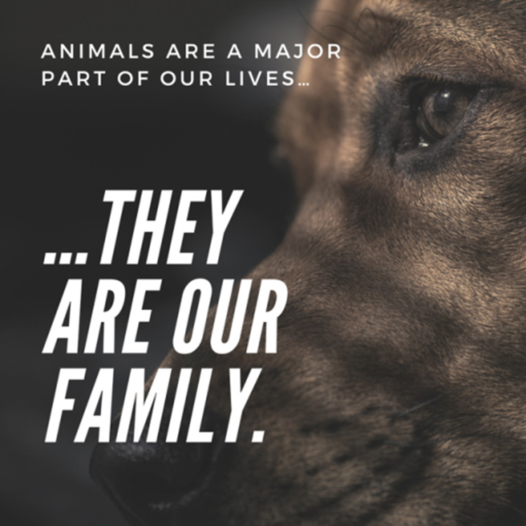 Animals are a major part of our lives... They are our FAMILY