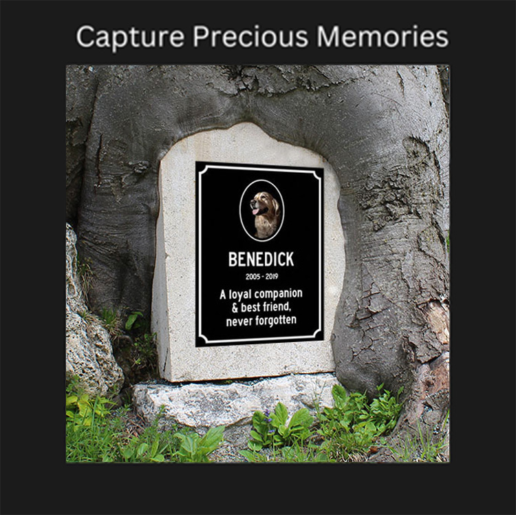 Capture Precious Memories