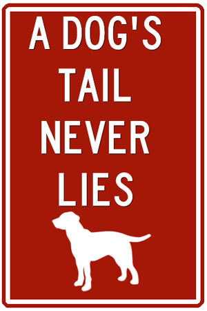 Pet Plaque: A dog's tail never lies