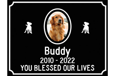 Pet Memorial | Buddy | 2010 - 2022 | You blessed our lives