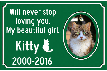 Pet Memorial | Will never stop loving you. My beautiful girl. | Kitty | 2000 - 2016