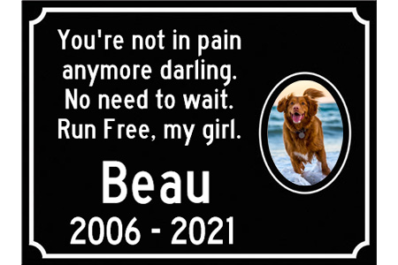 Pet Memorials | You are not in pain anymore darling. No need to wait. Run Free, my girl. | Beau | 2006 - 2021