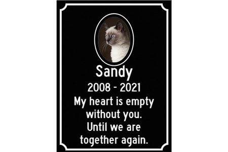 Pet Memorials | Sandy | 2008 - 2021 | My heart is empty without you. Until we are together again.