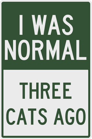 Pet Plaque: I was normal three cats ago